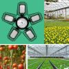 Five Leaf Foldable Transformable LED Plant Light for Greenhouse