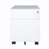 2 Drawer Mobile File Cabinet with Lock Metal Filing Cabinet for Legal/Letter/A4/F4 Size, Fully Assembled Include Wheels, Home/Office Design